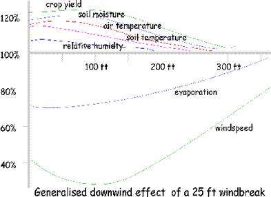 Downwind effect of windbreak